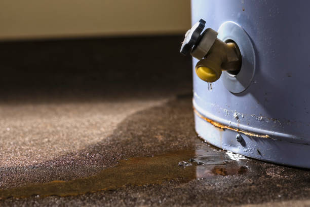 Best Water damage cleanup near me  in Lynwood, IL