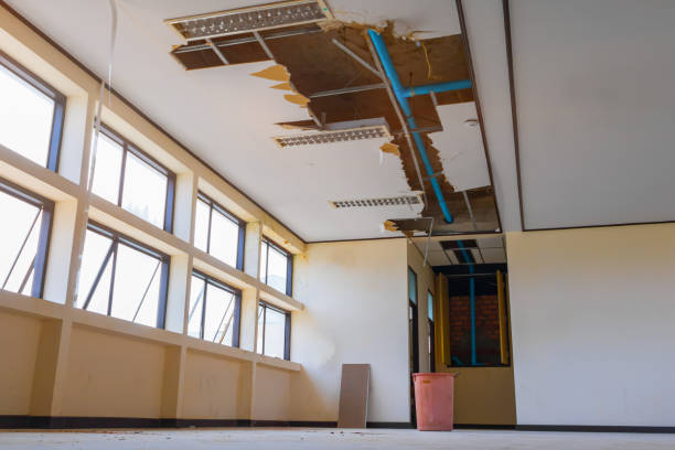 Best Basement water damage restoration  in Lynwood, IL