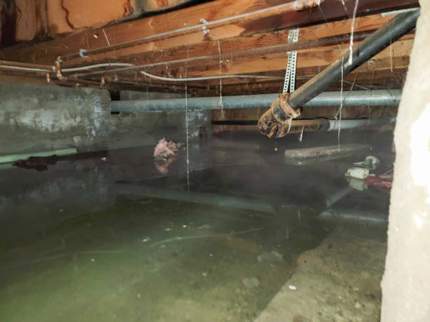 Best Water damage restoration near me  in Lynwood, IL