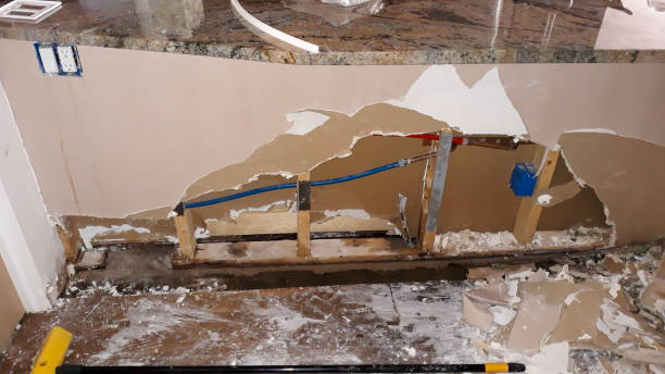 Best Flood restoration services  in Lynwood, IL