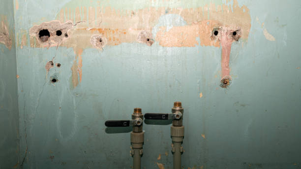 Best Emergency water damage restoration  in Lynwood, IL