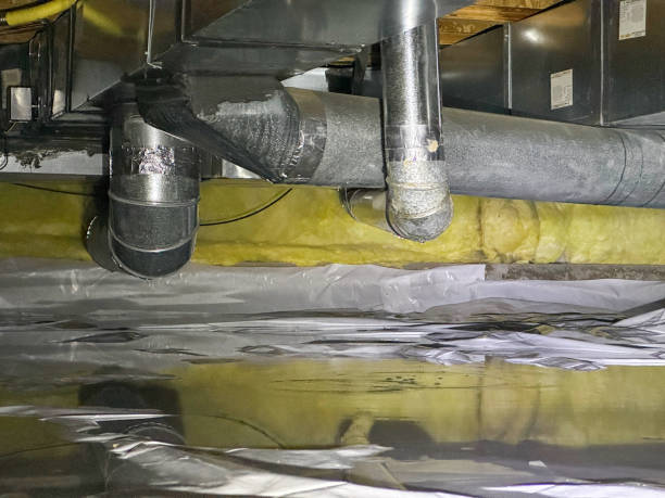 Best 24/7 water damage repair  in Lynwood, IL