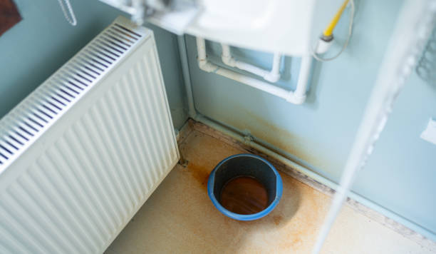 Best Basement water damage restoration  in Lynwood, IL