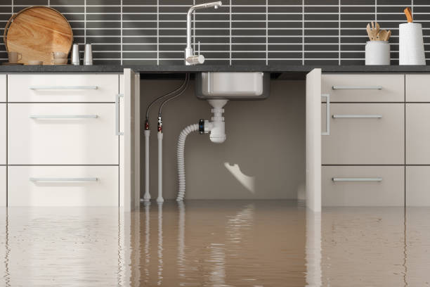 Best Flood damage cleanup  in Lynwood, IL