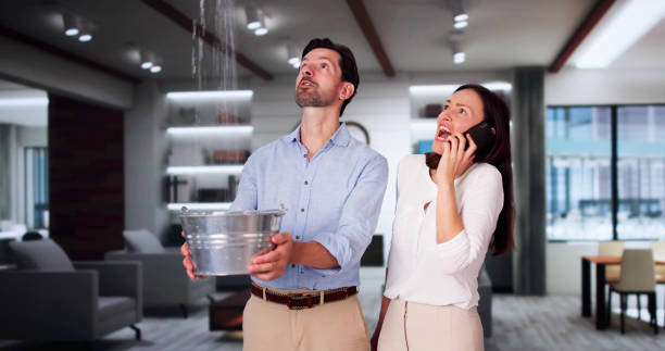 Water damage restoration process in Lynwood, IL
