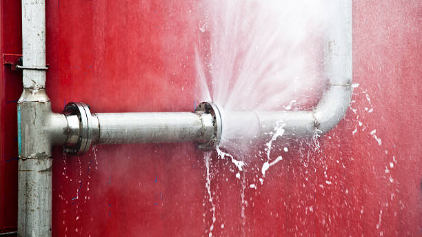 Best Water damage restoration near me  in Lynwood, IL